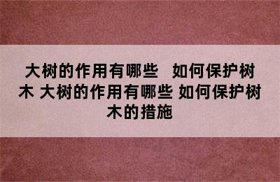 大树的作用有哪些   如何保护树木 大树的作用有哪些 如何保护树木的措施